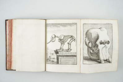 Comte de Buffon, Histoire naturelle et des &eacute;poques de la nature, 1753-1767