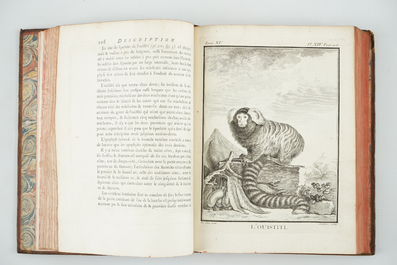 Comte de Buffon, Histoire naturelle et des &eacute;poques de la nature, 1753-1767