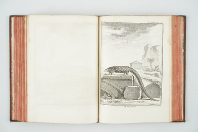 Comte de Buffon, Histoire naturelle et des &eacute;poques de la nature, 1753-1767