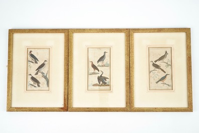 A group of illustrated books and prints on man and animal, 19/20th C.