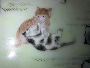 A small framed Chinese famille rose plaque depicting playing cats, 19/20th C.