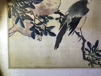 Quatre aquarelles aux oiseaux parmi branches avec de le calligraphie, encadr&eacute;es, Chine, 19&egrave;me