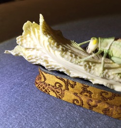 A Chinese polychrome ivory group of a cricket on cabbage, early 20th C.