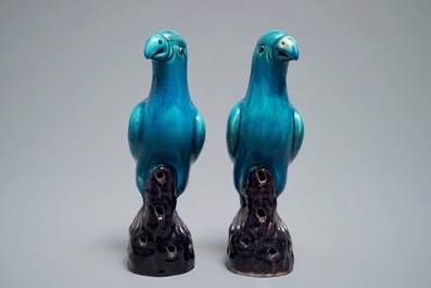 Deux mod&egrave;les de perroquets en porcelaine de Chine turquoise et aubergine, 19&egrave;me
