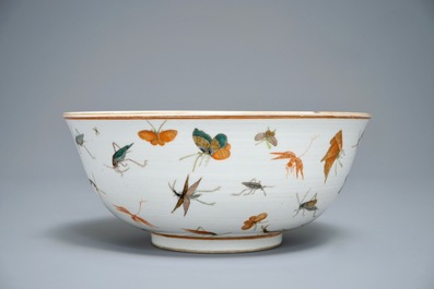 A Chinese famille rose bowl with various insects, Guangxu mark, 19/20th C.