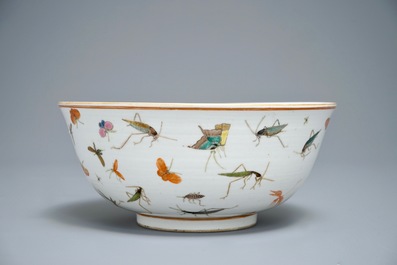 A Chinese famille rose bowl with various insects, Guangxu mark, 19/20th C.