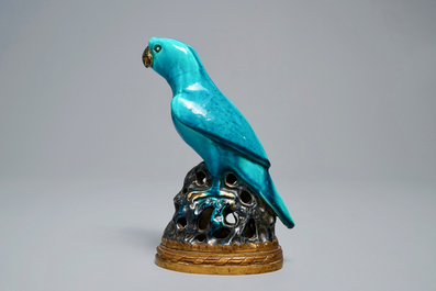 Un perroquet en porcelaine de Chine &eacute;maill&eacute; turquoise mont&eacute; sur socle en bronze dor&eacute;, Kangxi