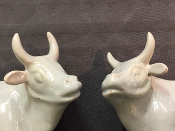 A pair of white Dutch Delft models of cows on bases, 18th C.