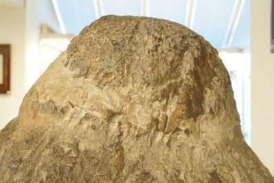 A Chinese carved limestone head of Buddha, Northern Wei (386-535)