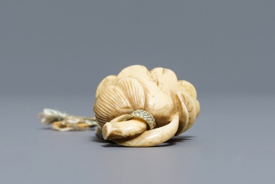 Een Japanse ivoren netsuke in de vorm van een lotusbloem, Edo, 18e eeuw