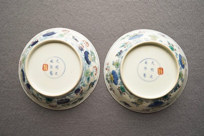 A pair of Chinese doucai 'ducks and lotus pond' plates, Chenghua mark, 18th C.