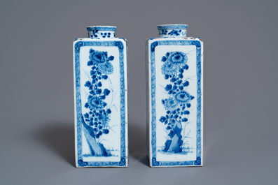 Een paar Chinese blauw-witte theebussen met floraal decor, Kangxi