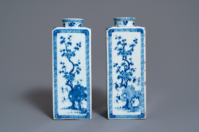 Une paire de bo&icirc;tes &agrave; th&eacute; en porcelaine de Chine en bleu et blanc, Kangxi