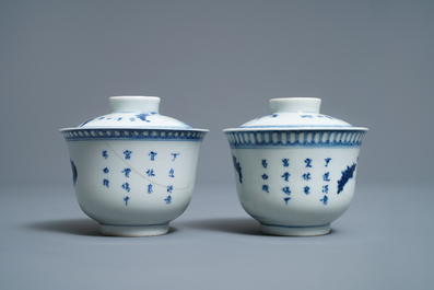 A varied collection of Chinese blue and white Vietnamese market 'Bleu de Hue' wares, 19th C.