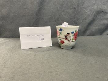 A Chinese famille rose cup and saucer with a bird on a blossoming branch, Yongzheng