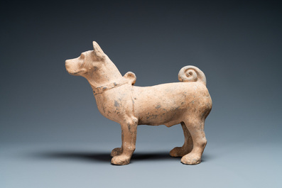 Een groot Chinees grijs aardewerken model van een hond, Han