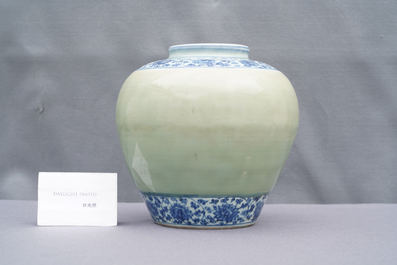 Een Chinese blauw-witte en celadon vaas met lotusslingers, Ming