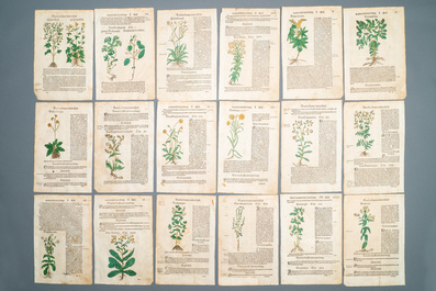 83 pages de publications botaniques partiellement color&eacute;es &agrave; la main, 16/17&egrave;me