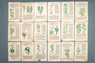 83 pages de publications botaniques partiellement color&eacute;es &agrave; la main, 16/17&egrave;me