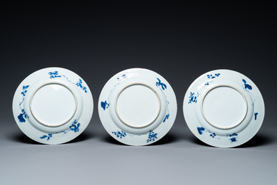 Vijf Chinese blauw-witte borden met 'zotjes', Kangxi