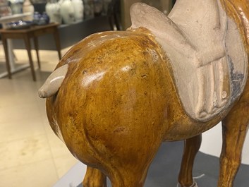 A Chinese amber- and cream-glazed pottery model of a horse, Tang