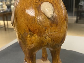 A Chinese amber- and cream-glazed pottery model of a horse, Tang