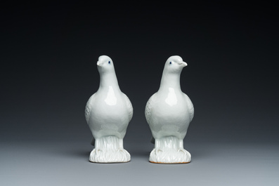 A pair of Chinese blanc de Chine pigeons, 19th C.