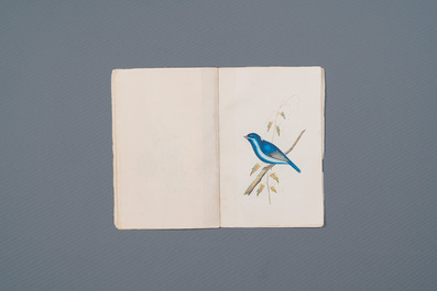 Album de 12 peintures d'oiseaux, Chine ou Inde, 19&egrave;me