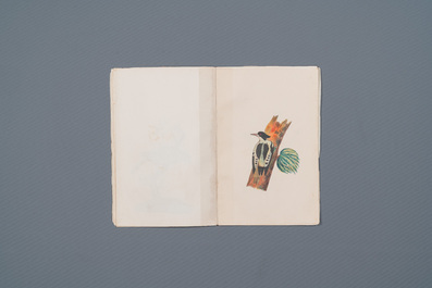 Album with 12 Indian bird paintings, 19th C.