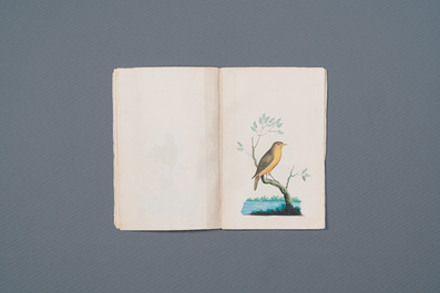 Album with 12 Indian bird paintings, 19th C.