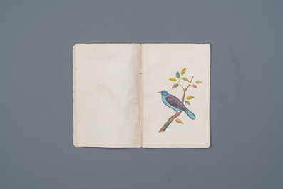 Album with 12 Indian bird paintings, 19th C.