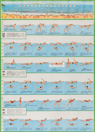 Cinq affiches de propagande de la R&eacute;volution Culturelle aux instructions de gymnastique et de natation, Chine