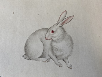 Ma Jin 馬晉 (1900-1970): 'Rabbit', pencil on paper