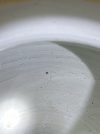 Een Chinese blauw-witte vaas met bloesems op gebroken ijs, Kangxi