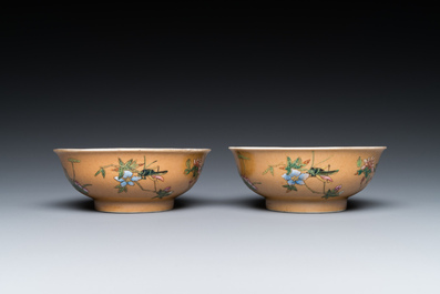 A pair of Chinese caf&eacute;-au-lait-ground famille rose 'grasshopper' bowls, Daoguang mark and of the period