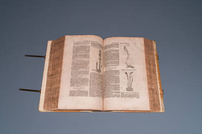Dodoens, R.: 'Cruydt-boeck volghens sijne laetste verbeteringhe', 1644