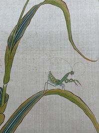 Zhao Hao 趙浩 '石佛' (1881-1949): 'Twee kwartels en insecten', inkt en kleur op zijde, gedateerd 1928