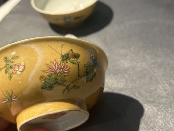 A pair of Chinese caf&eacute;-au-lait-ground famille rose 'grasshopper' bowls, Daoguang mark and of the period