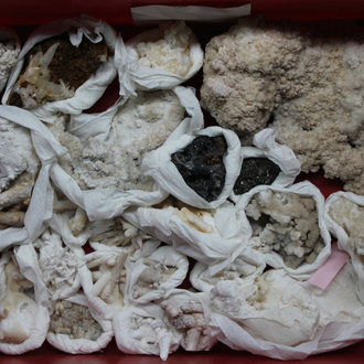 A box lot of various minerals and semi-precious stones