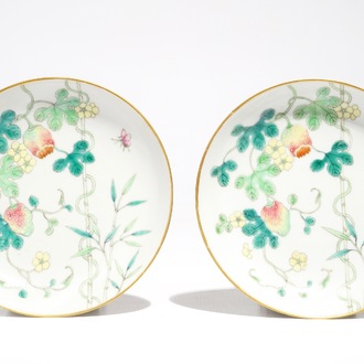 A pair of Chinese famille rose saucer plates with balsam pear design, Guangxu mark, 19/20th C.