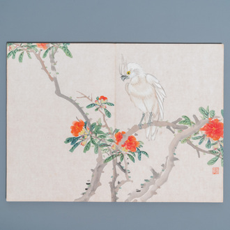 Chinese school, ink and color on paper: an album with eleven birds and a squirrel, 19/20th C.