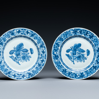 A pair of Chinese blue and white plates with flowers and insects after Merian, Qianlong
