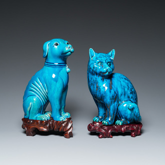 Chat et chien en porcelaine de Chine en turquoise monochrome sur socles en bois sculpté, 19ème