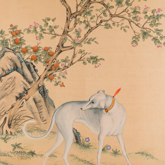 Suiveur de Lang Shining 郞世寧 (1688-1766): 'Levrette chinoise', encre et couleurs sur soie, 20ème