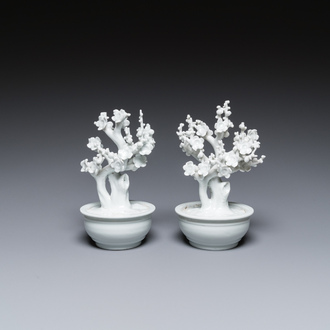 Een paar Chinese blanc de Chine modellen van bomen in jardinières, Kangxi