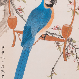 Attribué à Tian Shiguang 田世光 (1916-1999): 'Perroquet', encre et couleurs sur papier, daté 1944