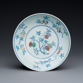 Belle coupe en porcelaine de Chine doucai à décor de fruits, Kangxi
