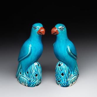 A pair of Chinese turquoise-glazed parrots, 19th C.