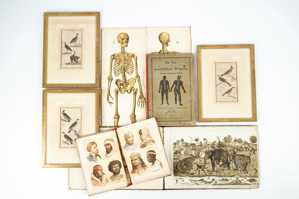 A group of illustrated books and prints on man and animal, 19/20th C.