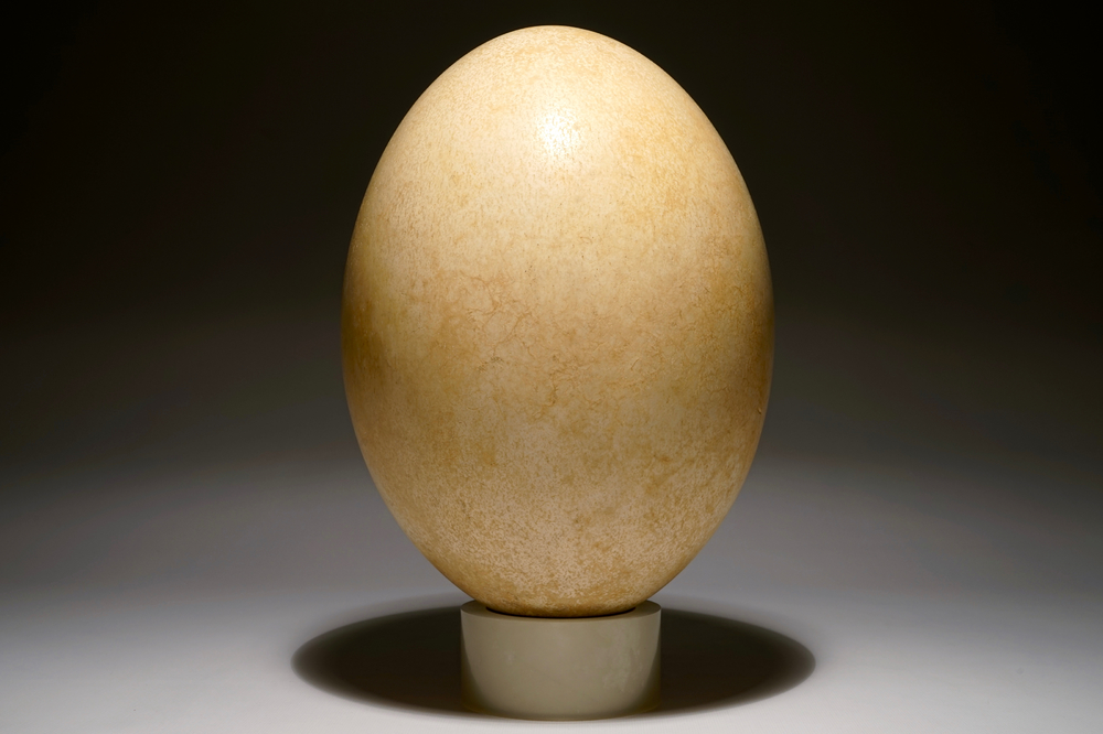 Largest Egg Ever Laid - Intact Elephant Bird Egg at 1stDibs